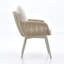 Orsa Outdoor Dining Armchair with Cushion (Set of 2)