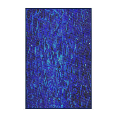 Indoor Rug