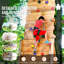 VEVOR PP Copolymer Climbing Rocks