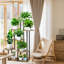 Support pour plante 7 niveaux-1980901366