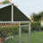 Dog Pen-99929286