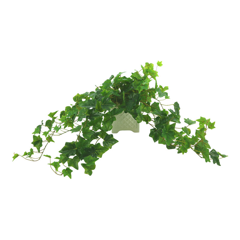 Oakes Faux Ivy Plant in Ceramic Pot