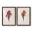 " Sketchbook Chrysanthemum " 2 - Pieces-286667848-286667830-286667825