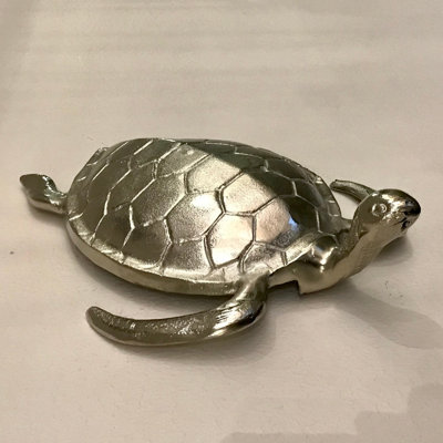 Curious Sea Turtle - Aluminum