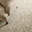 Martha Stewart Hand Tufted Wool/Cotton Floral Rug in Ivory/Beige-92584565