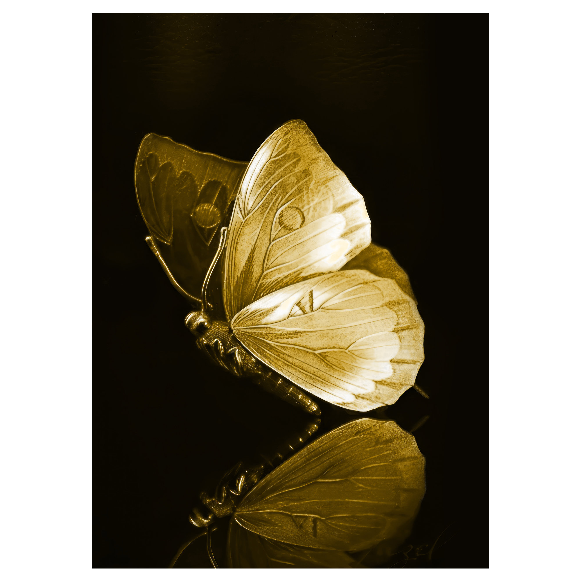 kayra export Tropical Paradise Non-Woven Soft Printed Rug with Exotic ...