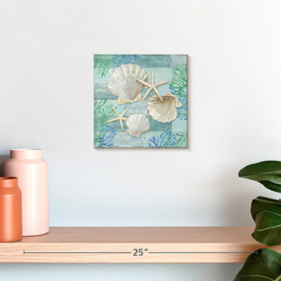 Aletra Clearwater Shells III