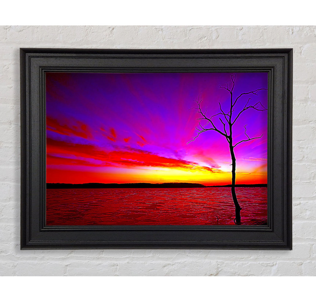 Sunset Tree Rainbow Skies Gerahmter Druck Wandkunst