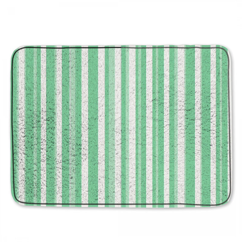 Tapis de bain à rayures et motif de salle de bain minimaliste, Simple - L 34 po x l 21 po, Vert clair rayé