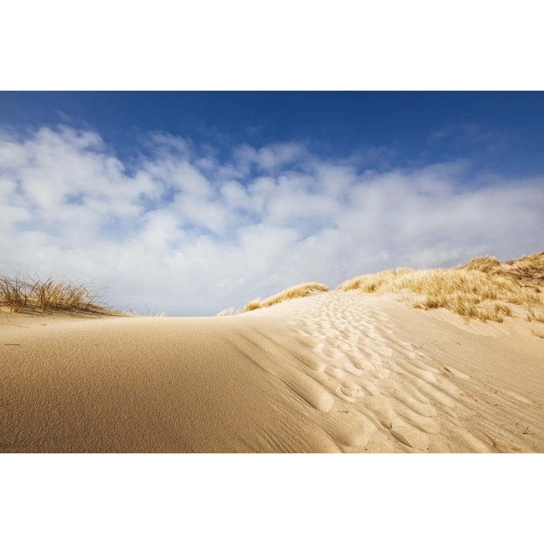 Sand Dune On The Coast by Cinoby - No Frame Art Prints on Canvas
