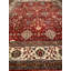 Wool Oriental Area Rug in Rust/Ivory