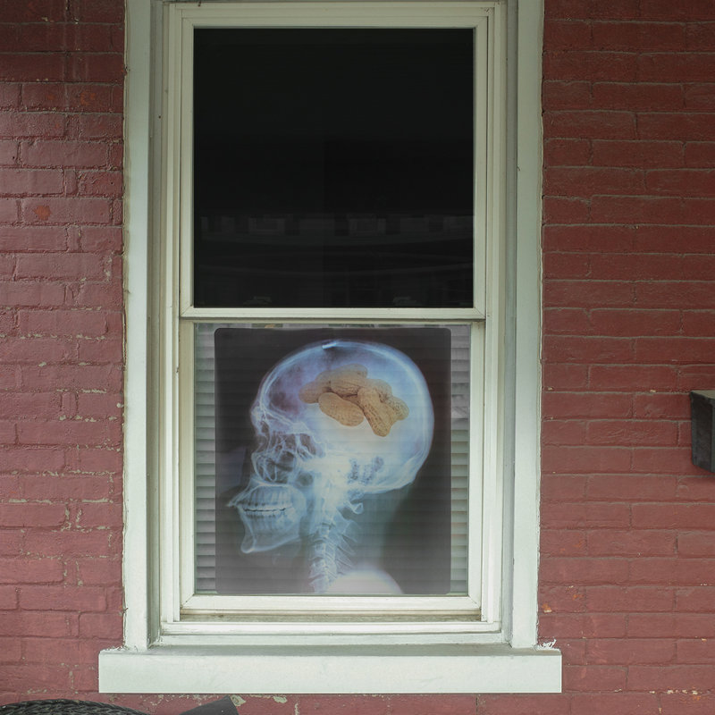 Funny Medical Xray Images Set of 4 Halloween Window Decor Human Skeleton Decal Funny Medical Xray Images Set of 4 Halloween Window Decor Human Skeleton Decal