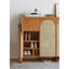 Armoire de rangement multifonctionnelle à chaussures en rotin