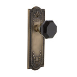 Meadows Plate with Waldorf Black Door Knob