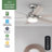 52 inch Georgetown ENERGY STAR® HunterExpress Fan with Light Kit and Remote-114604127-114604126