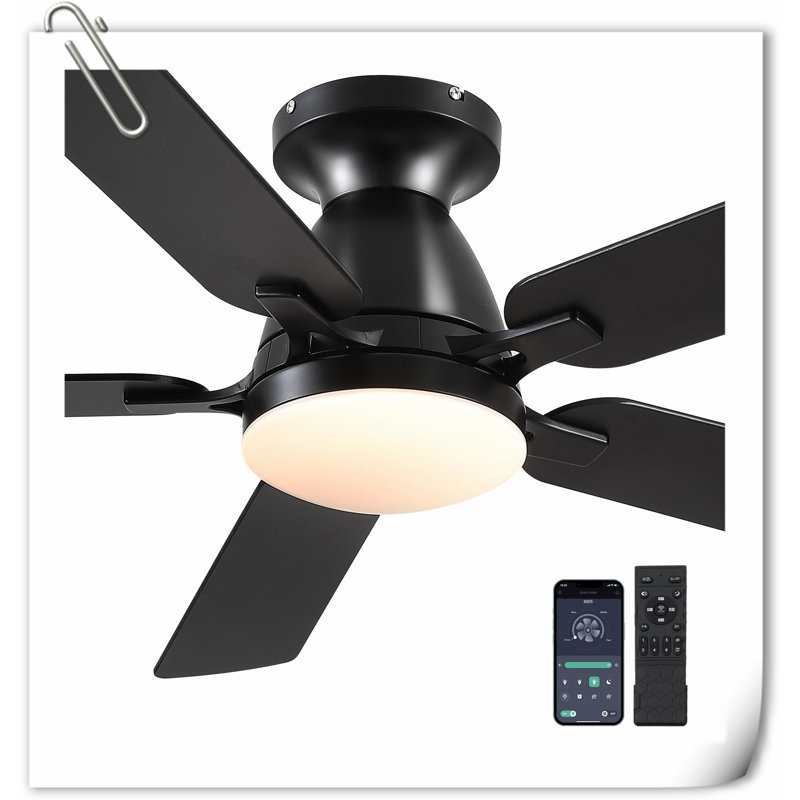 Ventilateur de plafond Museau, Noir
