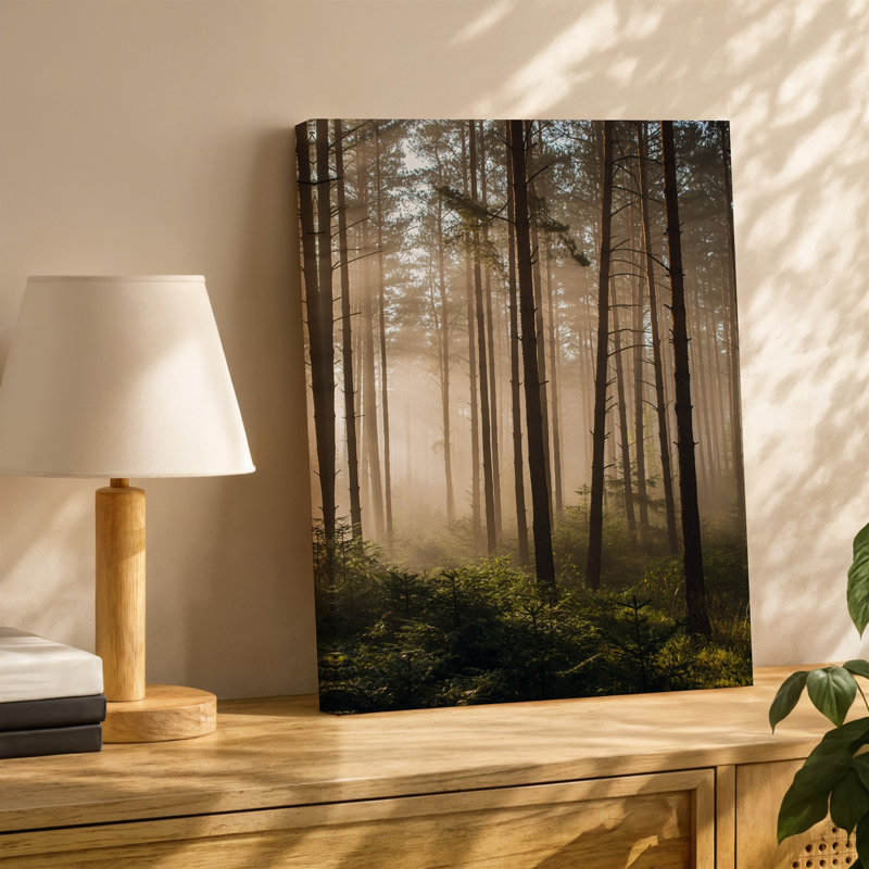Toile «A Tranquil Forest Scene Bathed In Soft Golden Morning Light», art mural mettant en vedette de grands pins élancés avec écorce texturée