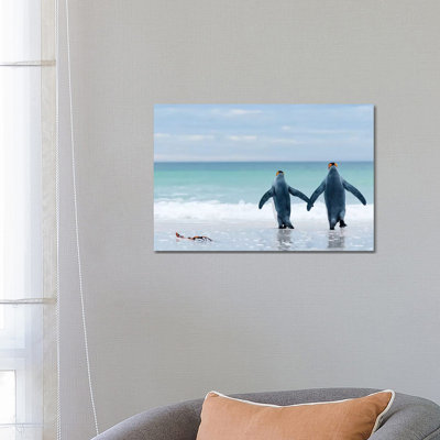 King Penguin Pair Entering Sea, Volunteer Beach, East Falkland Island, Falkland Islands by Tui De Roy - Wrapped Canvas Print