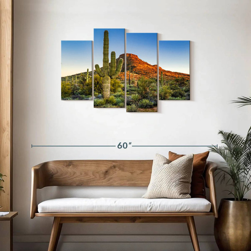Désert de Sonoran, H 27 po x l 43 po