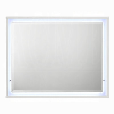 Plotkin Mirror W/led