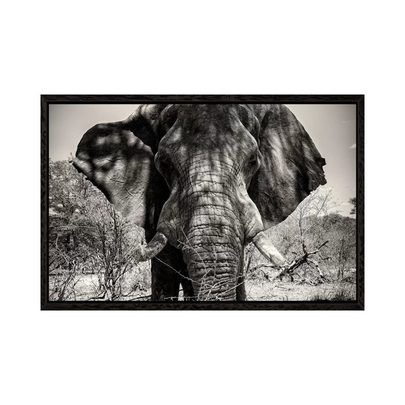 Elephant Portrait 1 Piece Wall Art on Canvas, 152.5 cm H x 101.5 cm W, Black Framed