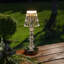 Faune Acrylic USB Desk Lamp