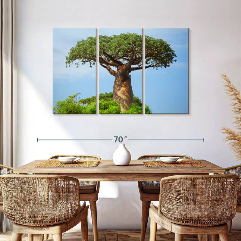 Baobab africain, H 36 po x l 57 po