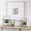 Terrarium en verre Navin-1224374760