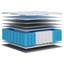 Ebern Designs Mattress