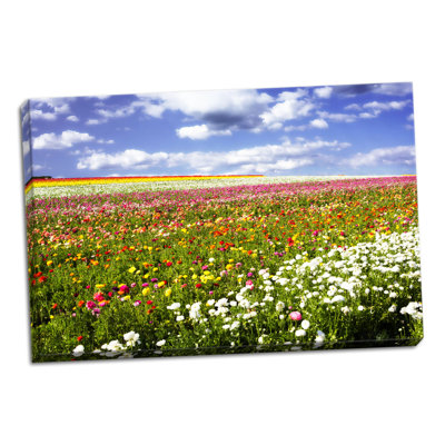 " Field Of Flowers III " by Alan Hausenflock