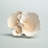 Amanda 13.15" Polystone Coral Decorative Sculpture