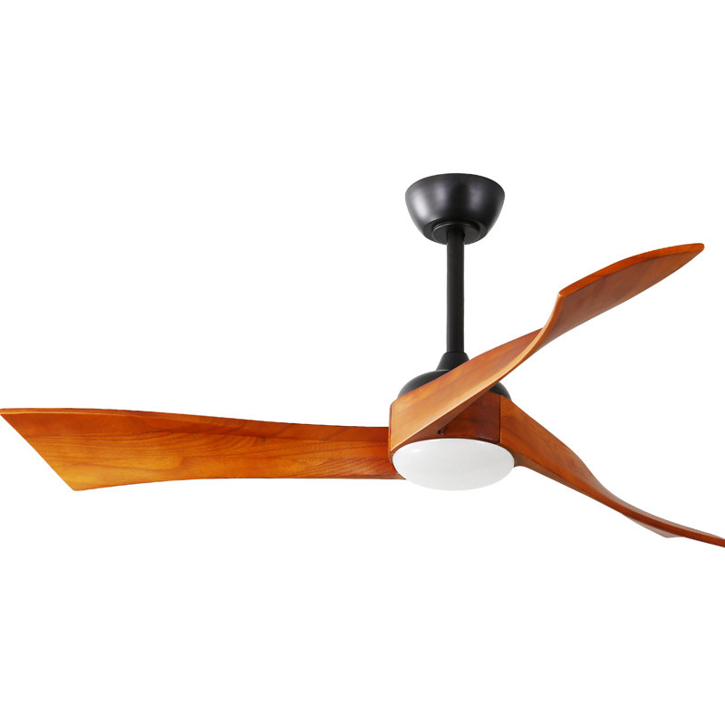 Ventilateur de plafond 51,96, Noir