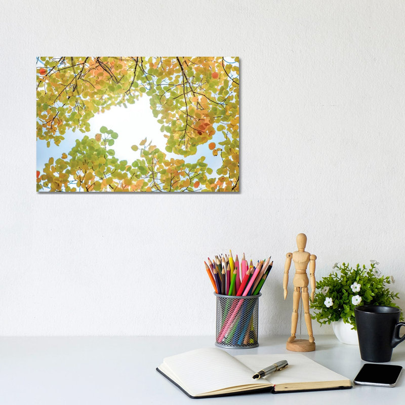 Canopy Of Leaves In The Sky by Nik Rave - Wrapped Canvas Gallery-Wrapped Canvas Giclée, 20.32 cm H x 30.48 cm W