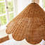 Maude 1 - Light Pendant