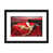 Black Framed Fine Art Paper is unavailable