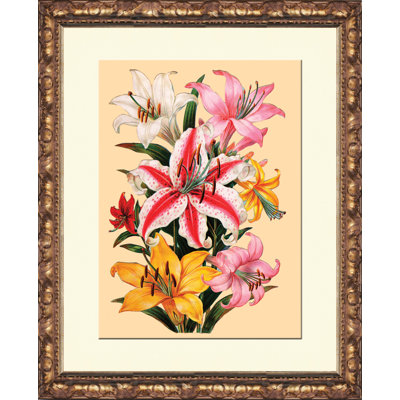 Lilies Framed Painting Print