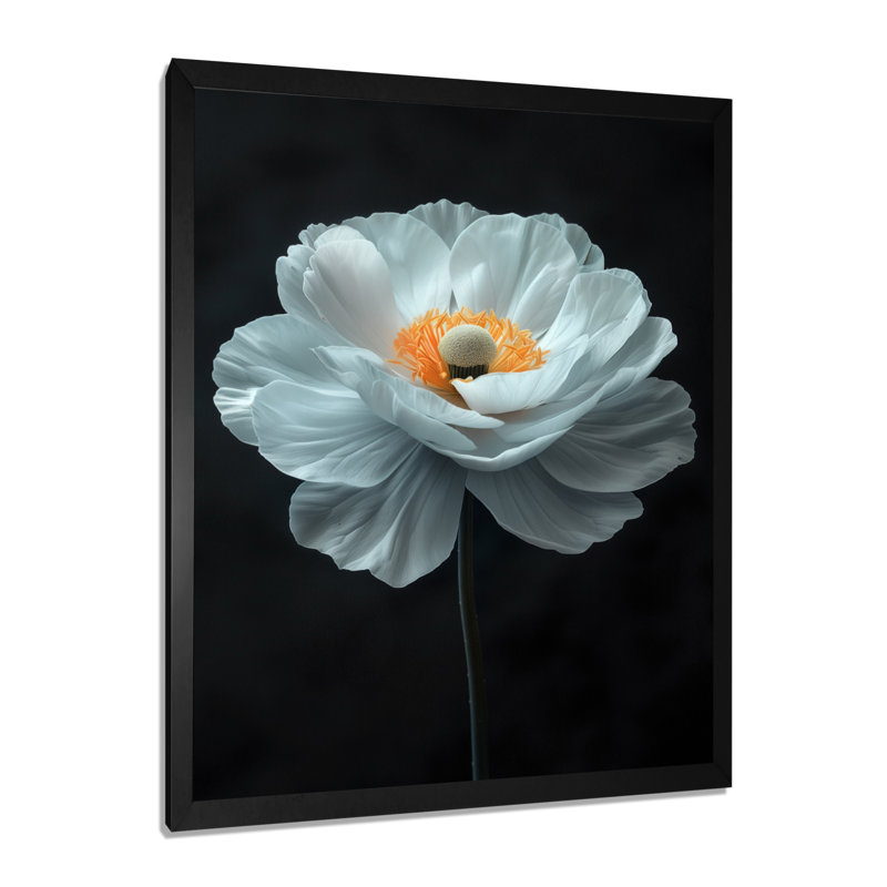 Blanc, jaune, souci élégant, simplicité, photo - souci, décoration murale, H 12 po x l 20 po, Cadre simple noir, bois massif
