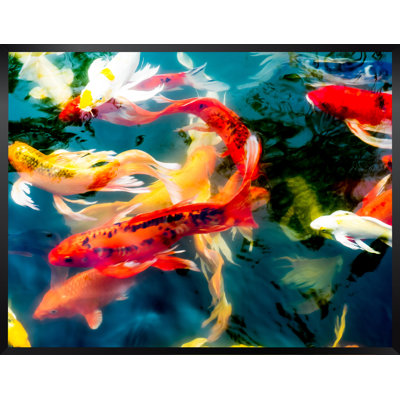 " Koi Pond "