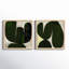 Succulent Set Of 2 by StudioM-66479134-66479133