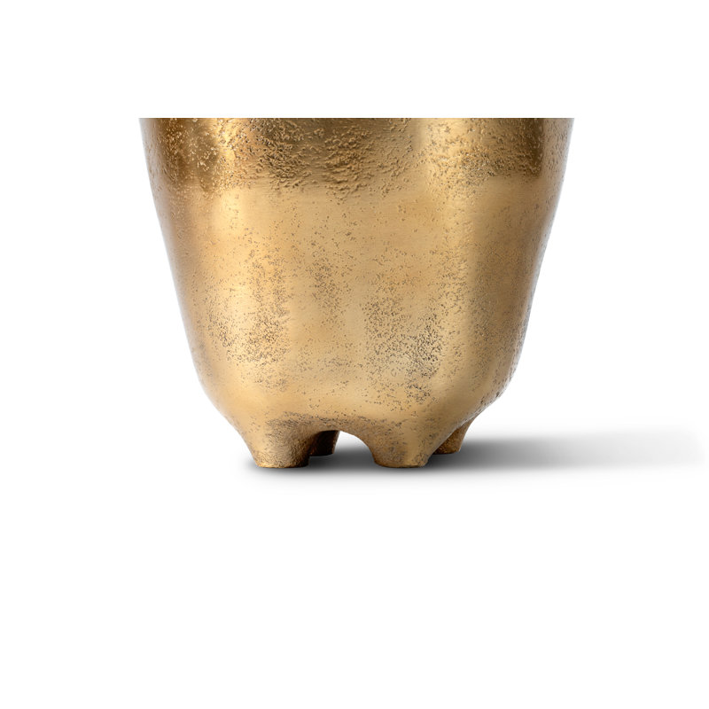 Rowan Orchid Arrangement in Gold Planter, Snow