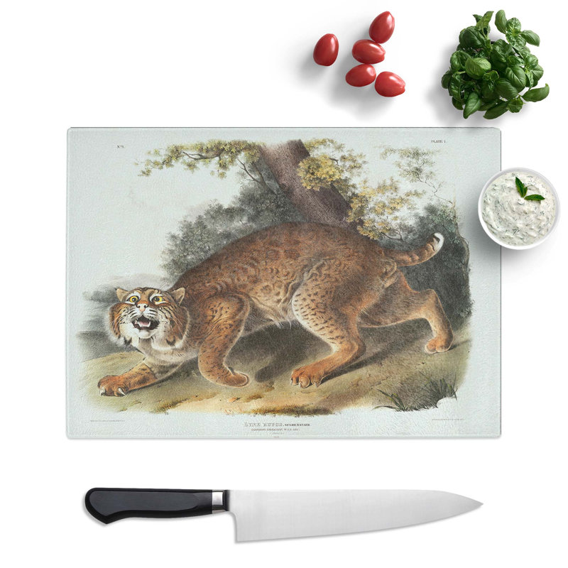 Tempered Glass American Wildcat by J.W. Audubon Chopping Board, 39cm W x 28.5cm L