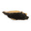 Resin Accent Shelf-40364815