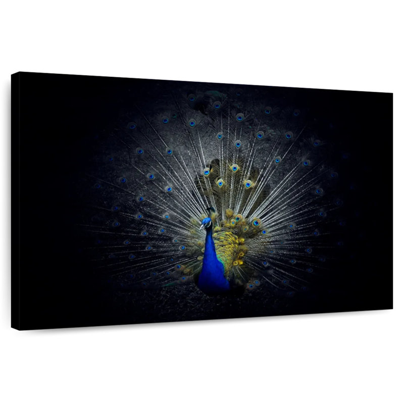 Crowle Flaunting Peacock Feathers, 20" H x 30" W