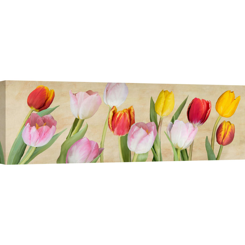 Tulips - Wrapped Canvas Panoramic Print, 40cm H x 120cm W x 4cm D