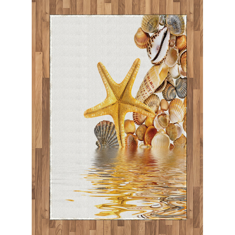 Easterday Hand Woven Area Rug, Rectangle 120 x 180cm