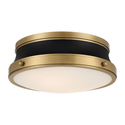 Purelight 15" 2-Light Flush Mount
