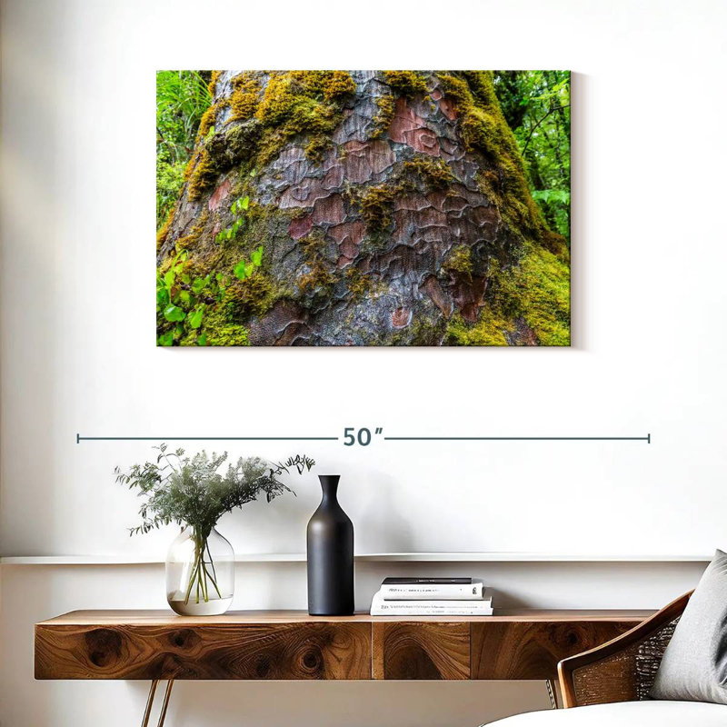 Mossy Kauri Tree, 24" H x 36" W