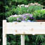 Raised Garden Bed-1505342875