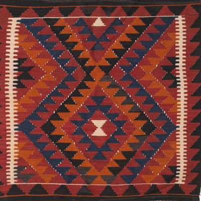Southwestern Indoor Rug