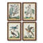 «Pastel Birds I», toile encadrée de qualité supérieure - prête à être accrochée-794121035-794121044